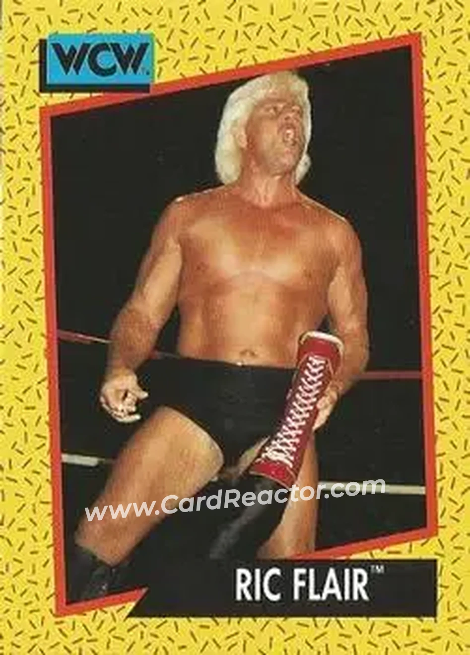 1991 Impel WCW #47 - Ric Flair