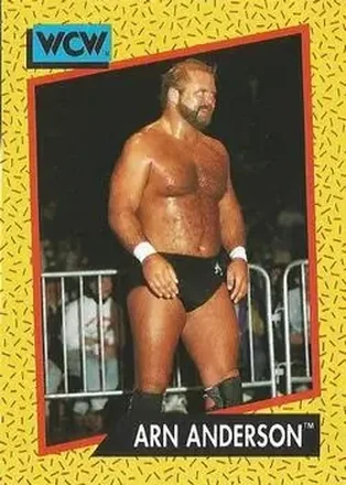 1991 Impel WCW #48 - Arn Anderson 1991 Impel WCW #48 - Arn Anderson