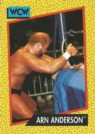 1991 Impel WCW #49 - Arn Anderson 1991 Impel WCW #49 - Arn Anderson