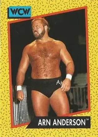 1991 Impel WCW #50 - Arn Anderson 1991 Impel WCW #50 - Arn Anderson