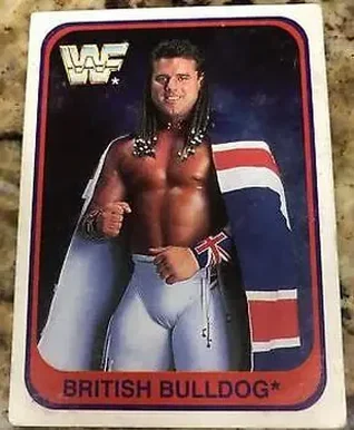 1991 Merlin WWF (German) #60 - Davey Boy Smith