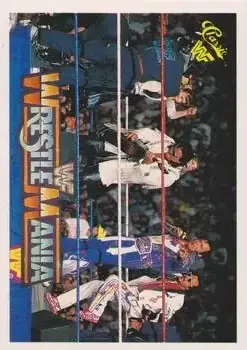 1990 Classic WWF The History of Wrestlemania #139 - Rhythm & Blues