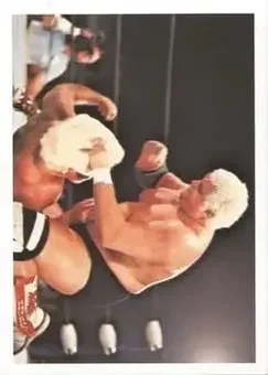 1988 Wonderama NWA #219 - Card #219