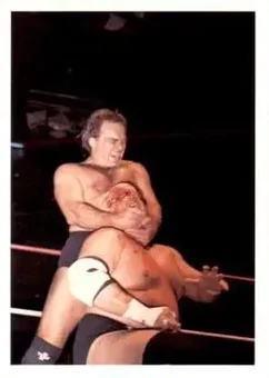 1988 Wonderama NWA #223 - Card #223