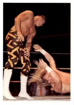 1988 Wonderama NWA #224 - Sean Royal - Front