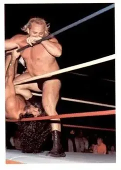 1988 Wonderama NWA #225 - Card #225