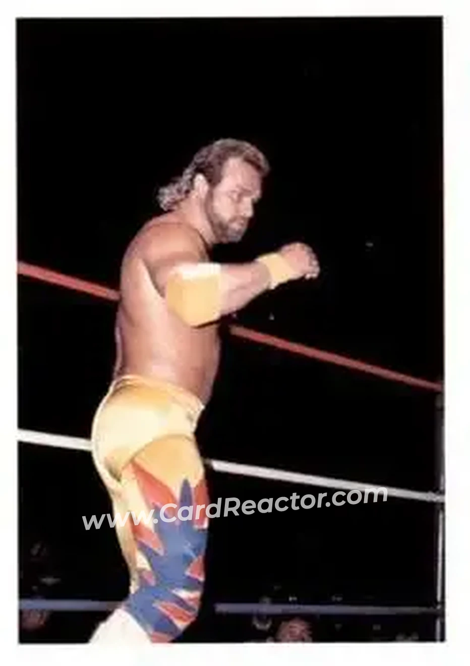 1988 Wonderama NWA #226 - Eddie Gilbert