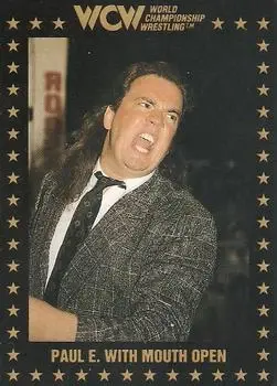 1991 Championship Marketing WCW #23 - Card #23 - Front 1991 Championship Marketing WCW #23 - Card #23 - Front