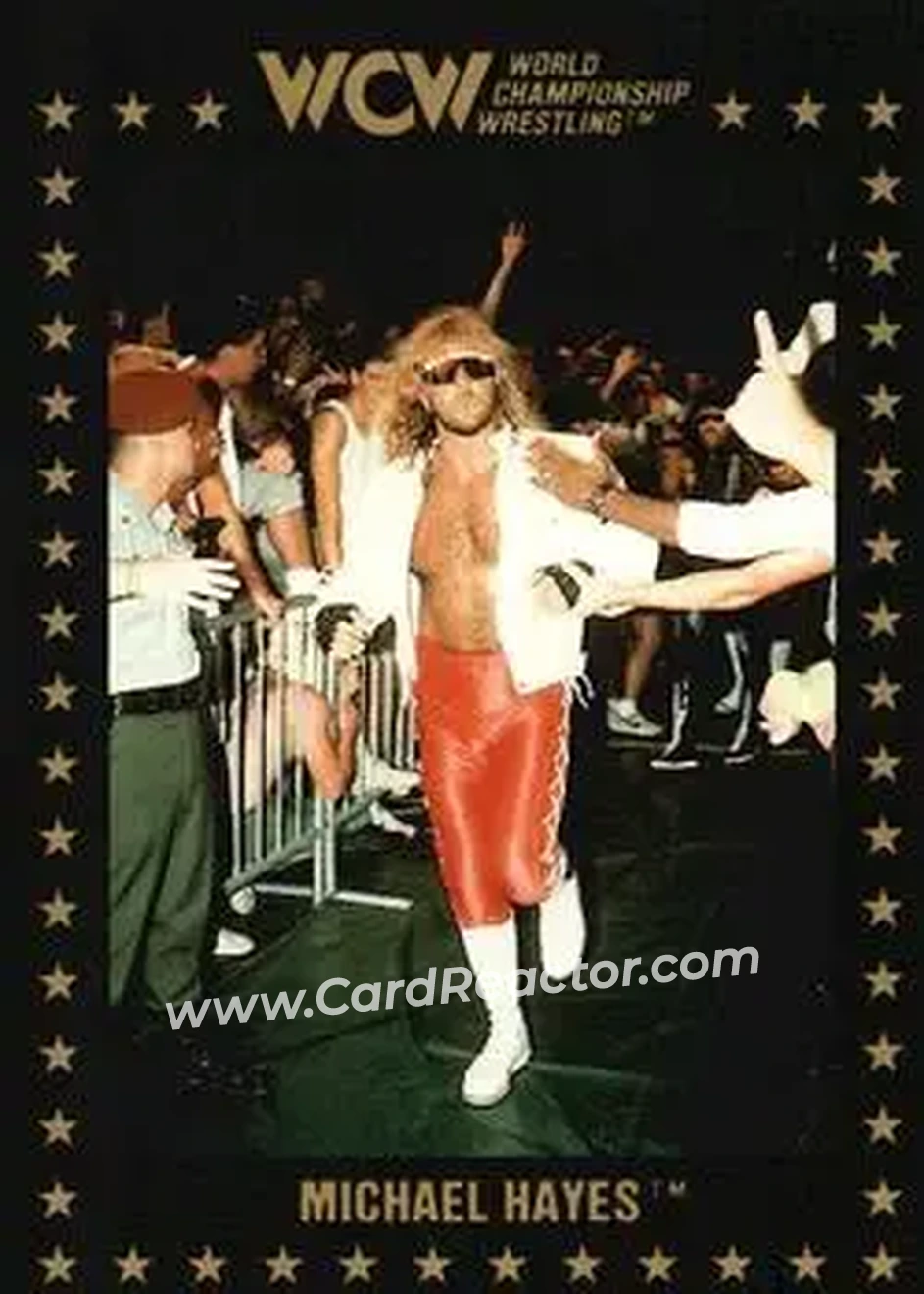 1991 Championship Marketing WCW #24 - Michael Hayes
