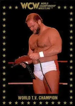 1991 Championship Marketing WCW #27 - Card #27 - Front 1991 Championship Marketing WCW #27 - Card #27 - Front