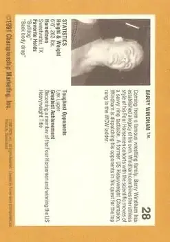 1991 Championship Marketing WCW #28 - Card #28 - Back