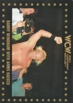 1991 Championship Marketing WCW #28 - Card #28 - Front
