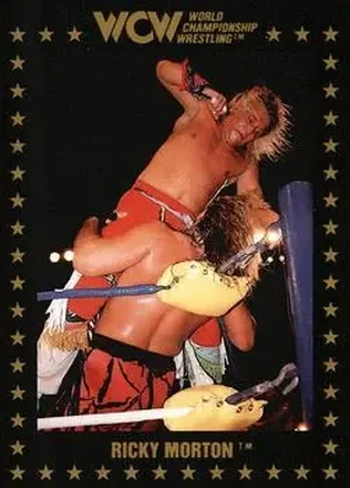 1991 Championship Marketing WCW #30 - Ricky Morton