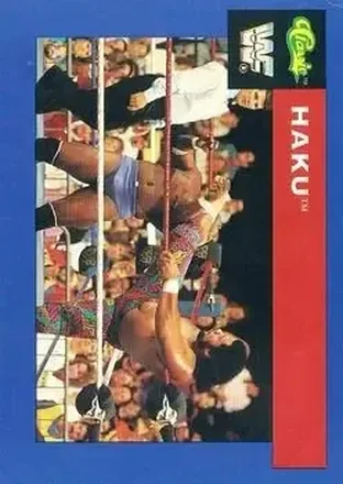 1991 Classic WWF Superstars #55 - Haku