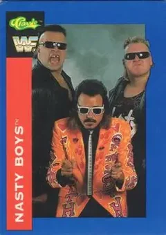 1991 Classic WWF Superstars #57 - The Nasty Boys