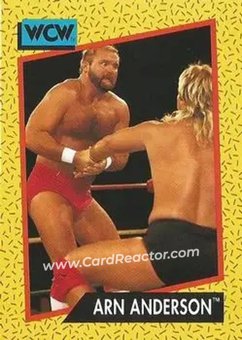 1991 Impel WCW #51 - Arn Anderson