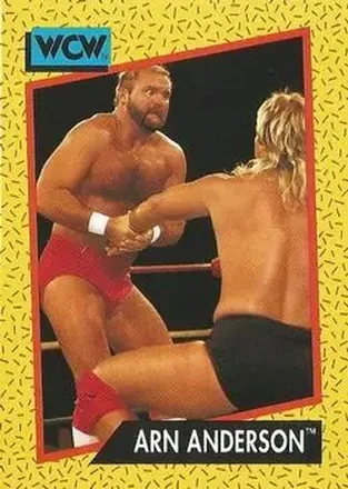 1991 Impel WCW #51 - Arn Anderson 1991 Impel WCW #51 - Arn Anderson