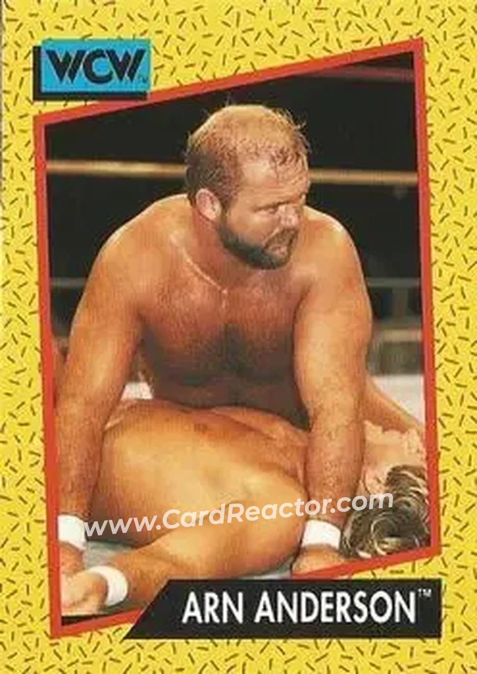 1991 Impel WCW #52 - Arn Anderson