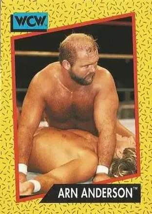 1991 Impel WCW #52 - Arn Anderson 1991 Impel WCW #52 - Arn Anderson