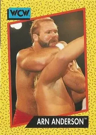1991 Impel WCW #53 - Arn Anderson 1991 Impel WCW #53 - Arn Anderson