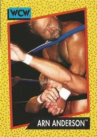 1991 Impel WCW #54 - Arn Anderson 1991 Impel WCW #54 - Arn Anderson