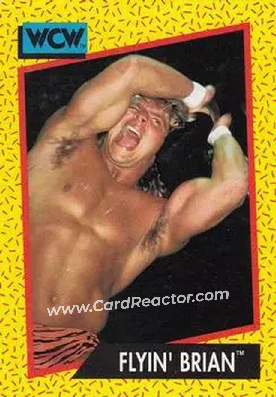 1991 Impel WCW #55 - Brian Pillman