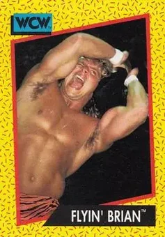 1991 Impel WCW #55 - Brian Pillman