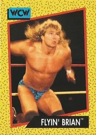 1991 Impel WCW #56 - Brian Pillman