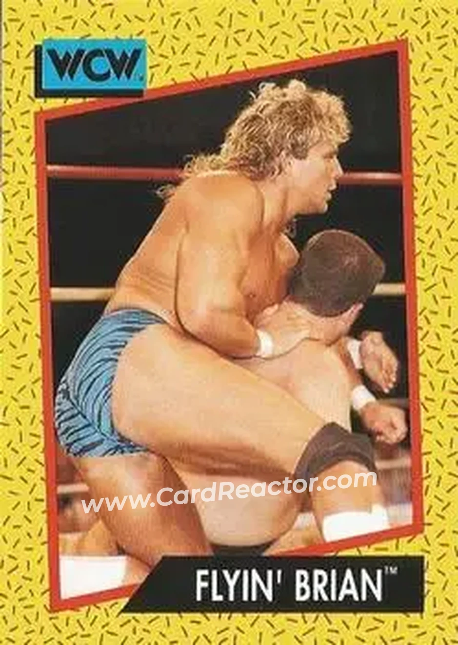 1991 Impel WCW #57 - Brian Pillman