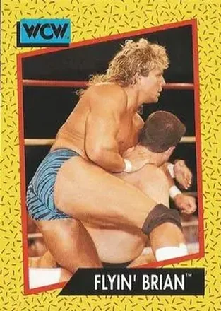 1991 Impel WCW #57 - Brian Pillman