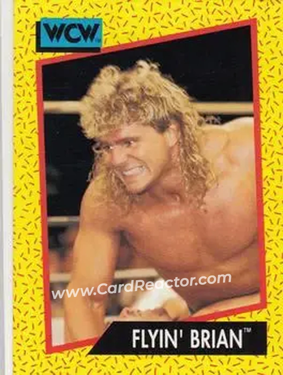 1991 Impel WCW #58 - Brian Pillman