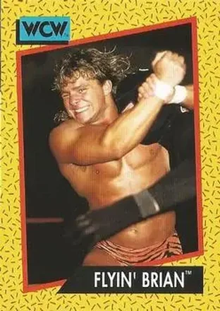 1991 Impel WCW #59 - Brian Pillman