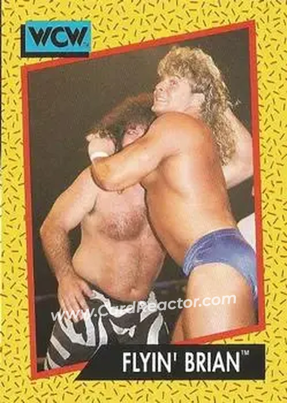 1991 Impel WCW #60 - Brian Pillman