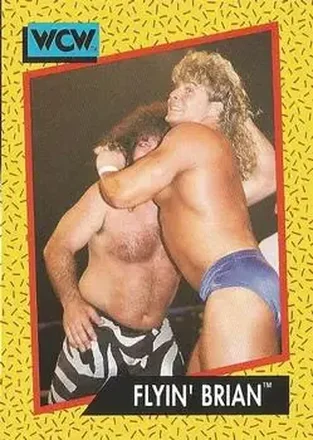 1991 Impel WCW #60 - Brian Pillman