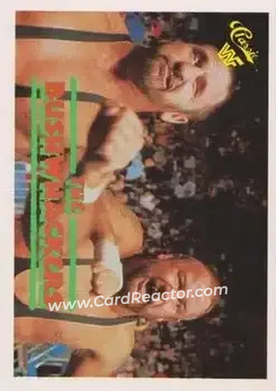 1990 Classic WWF #132 - The Bushwhackers (Butch & Luke)