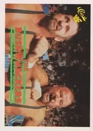 1990 Classic WWF #132 - The Bushwhackers (Butch & Luke)