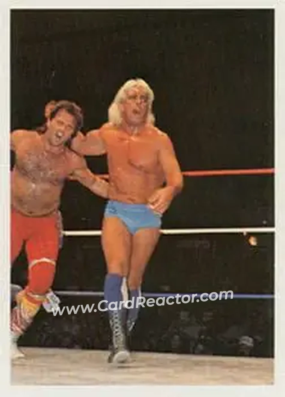 1988 Wonderama NWA #227 - Card #227