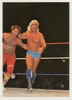 1988 Wonderama NWA #227 - Card #227