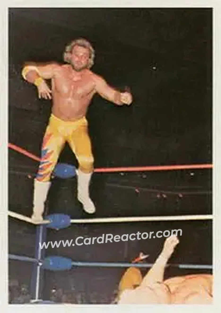 1988 Wonderama NWA #228 - Eddie Gilbert 1988 Wonderama NWA #228 - Eddie Gilbert