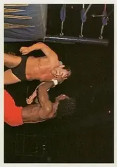 1988 Wonderama NWA #229 - Card #229