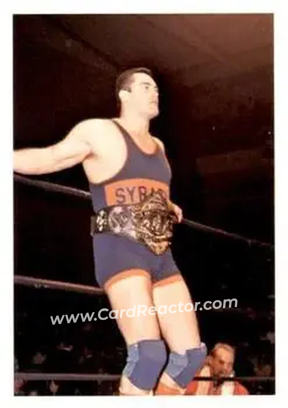 1988 Wonderama NWA #230 - Mike Rotunda
