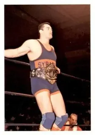 1988 Wonderama NWA #230 - Mike Rotunda 1988 Wonderama NWA #230 - Mike Rotunda