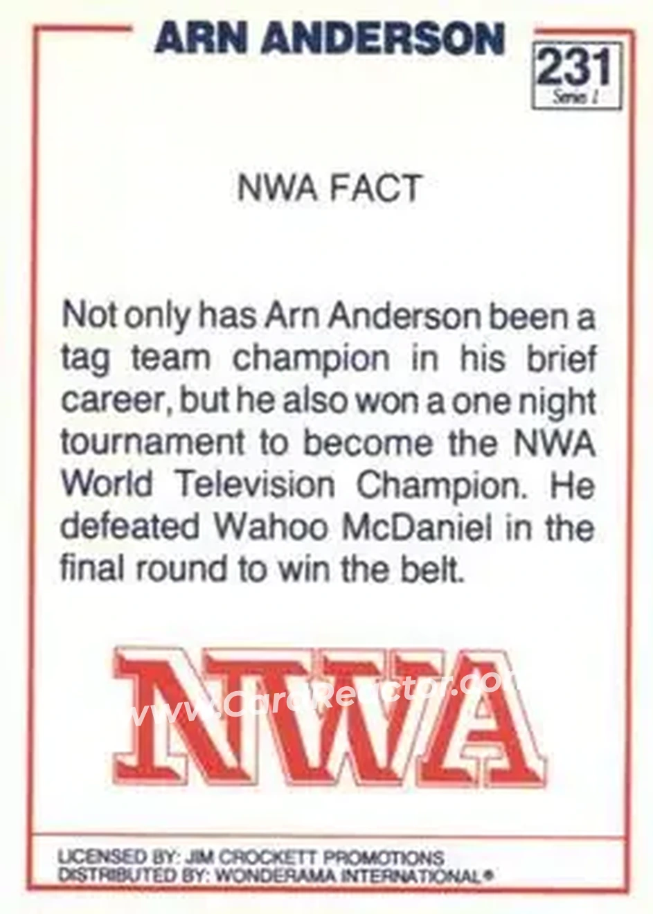 1988 Wonderama NWA #231 - Arn Anderson