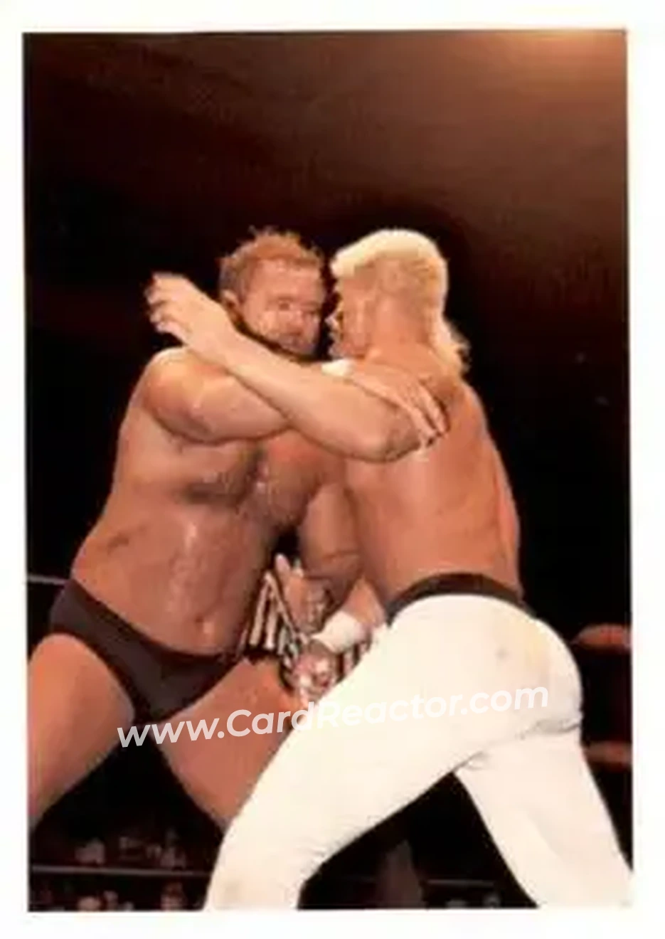 1988 Wonderama NWA #231 - Arn Anderson