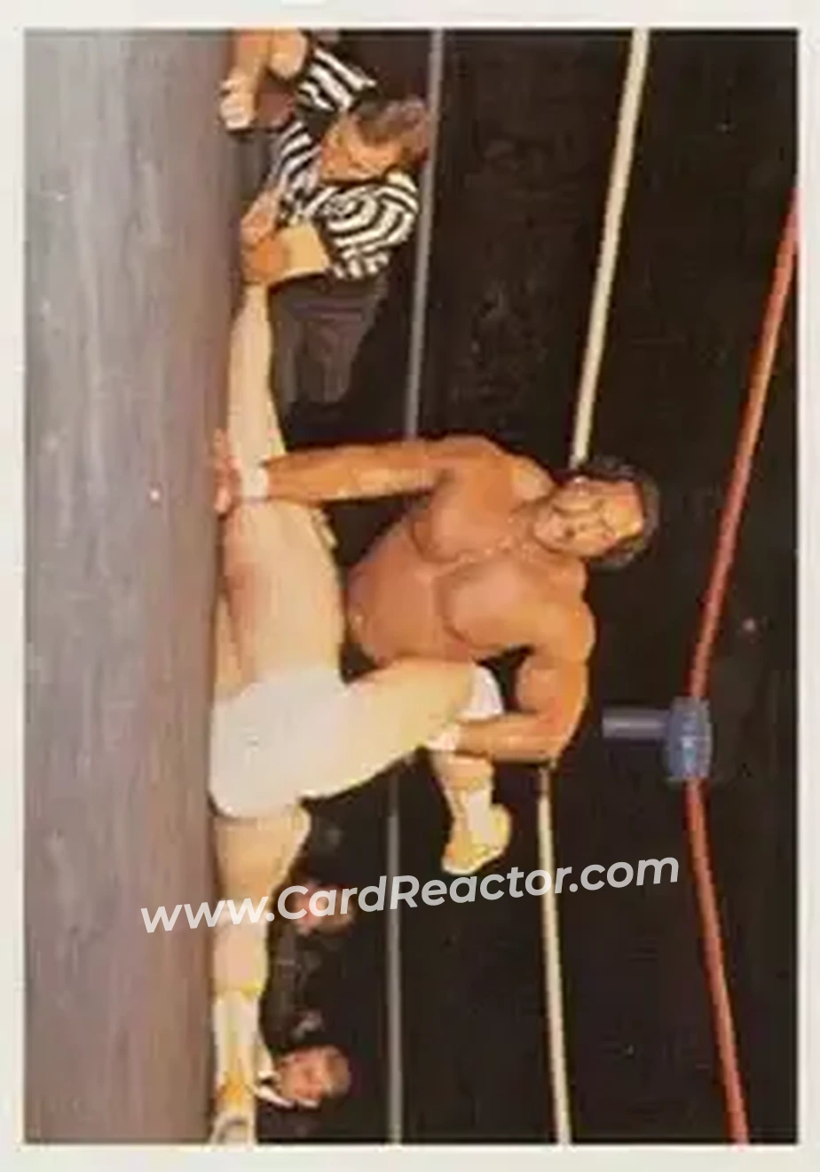 1988 Wonderama NWA #232 - Ron Simmons