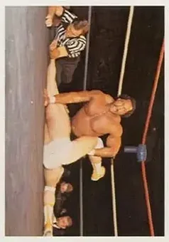1988 Wonderama NWA #232 - Ron Simmons