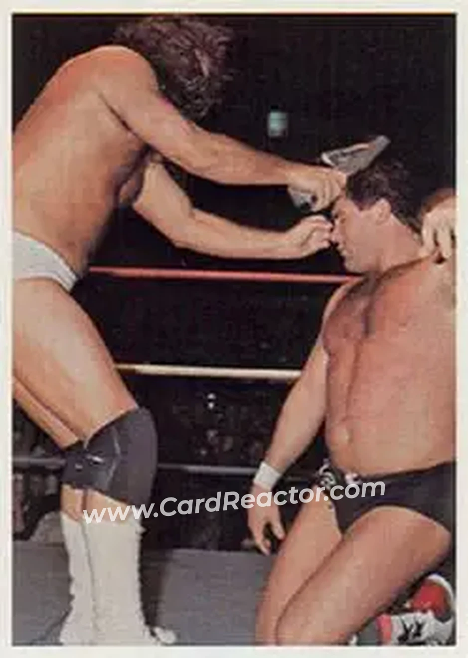 1988 Wonderama NWA #236 - Card #236
