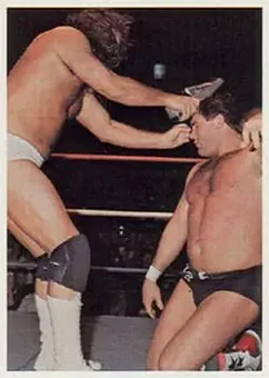 1988 Wonderama NWA #236 - Card #236