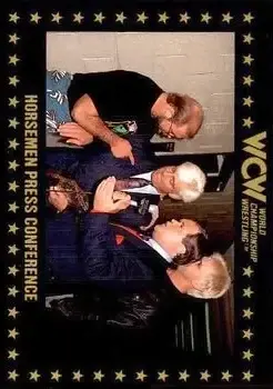 1991 Championship Marketing WCW #31 - Card #31