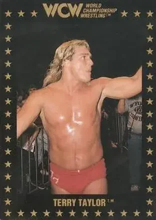 1991 Championship Marketing WCW #33 - Red Rooster